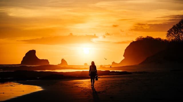 Getting Enough Sunshine Each Day can Help Improve Brain Functions